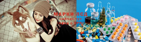 mdpv Медногорск