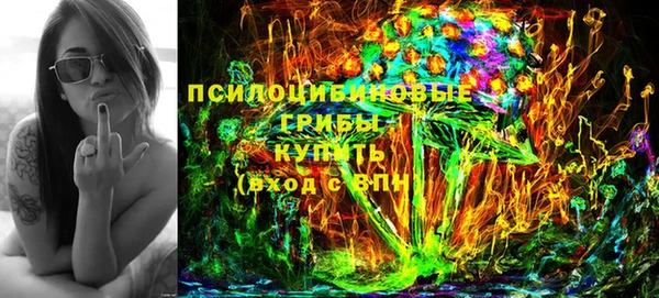 эйфоретик Надым